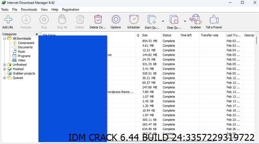 Idm Crack 6.44 Build 24 Screenshot